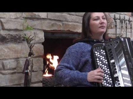 Малиновка Michigan accordion player