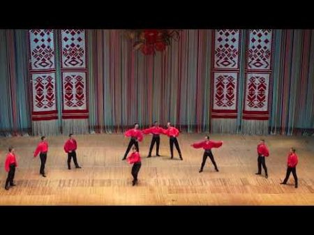Новая постановка ансамбля Вирского циганский танец Вербунк
