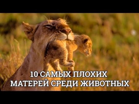 10 САМЫХ ПЛОХИХ МАТЕРЕЙ СРЕДИ ЖИВОТНЫХ