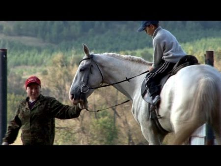 Граф Николай Скоков новошешминский