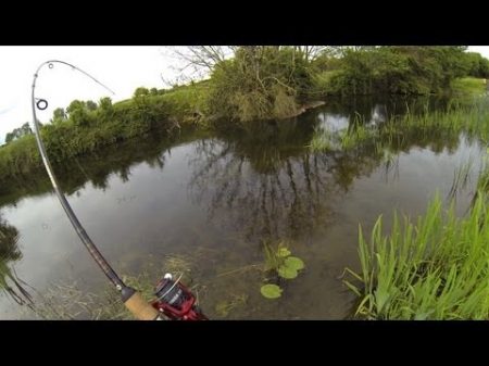 Fishing catching pike with Pontoon21 DUO lures Рыбалка ловля щуки на воблер