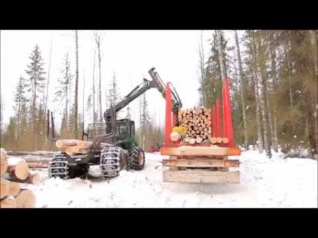 Лесовоз MEGA на делянке в Вологодской области Timber truck in the Vologda region Russia