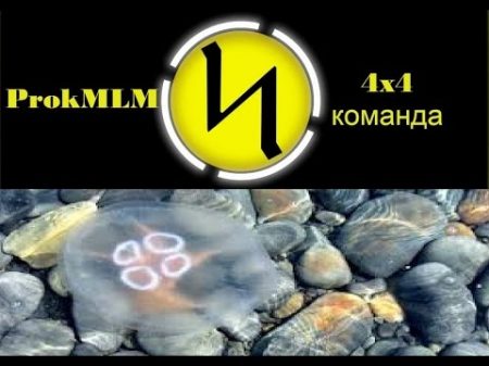 ProkMLM Подводные камни проекта