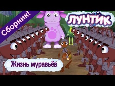 Жизнь муравьёв Лунтик Сборник мультфильмов 2018