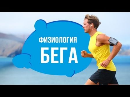 Что происходит с организмом во время бега Что происходит с организмом во время бега