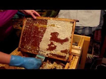 Как должен выглядеть зрелый качественный мёд Домашний мёд