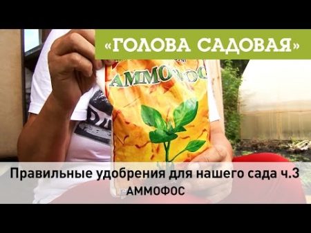 Голова садовая Правильные удобрения для нашего сада ч 3 Аммофос