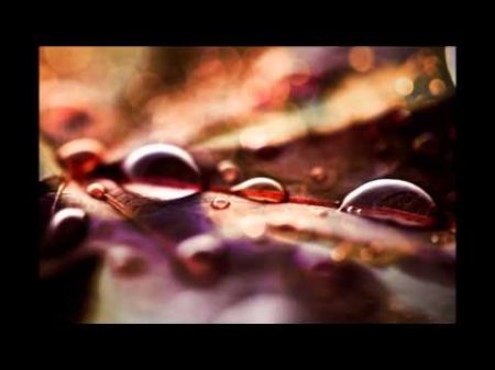 Beethoven A melody of tears