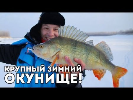 Ловля КРУПНОГО окуня зимой! Испытание зимних костюмов Аляскан и Новатур в Сибири! Часть 2