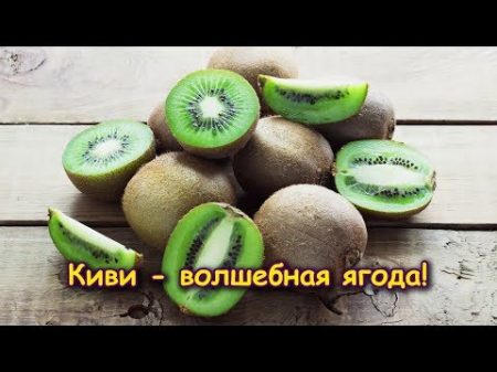 ВЫ УДИВИТЕСЬ! КИВИ ВОЛШЕБНАЯ ЯГОДА!