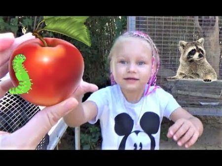 Алиса кормит ЕНОТА !!! Мини зоопарк для детей ! Alice feeds the RACCOON !!! Mini zoo for kids !
