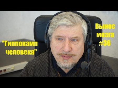 Гиппокамп человека Сергей Савельев Вынос мозга 36