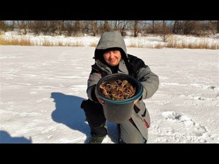 Ловля РАКОВ зимой Ведро раков из подо льда!!!Мы знаем где раки зимуют!!!