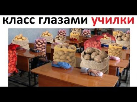 Лютые приколы Класс глазами училки