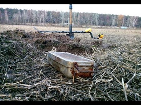 Отец с сыном не поверили своим глазам когда нашли клад в поле!