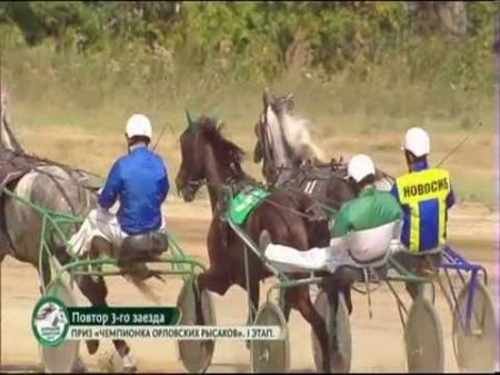 Большой сибирский круг 2015 новосибирск 3 заезд Чемпионка орловских рысаков