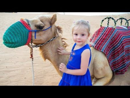 Влог путешествие по пустыне Сафари в Дубаи Safari in desert Dubai