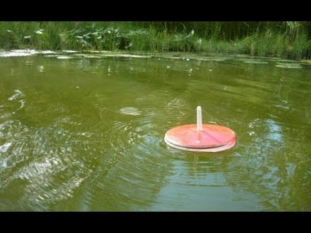 Ловля щуки на живца рыбалка на кружки Ловля щуки на живца рыбалка на кружки