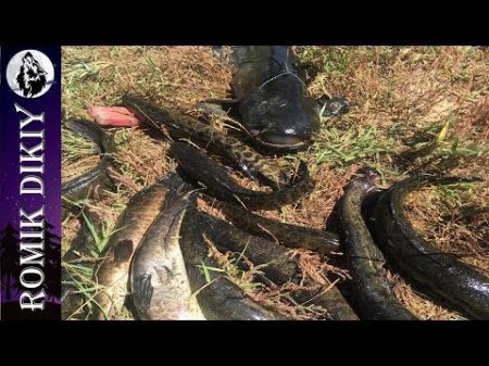 Рыбалка на р Топар Изобилие хищника 6 8 июля 2018г Часть 1