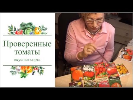 Проверенные вкусные сорта томатов для северо запада России