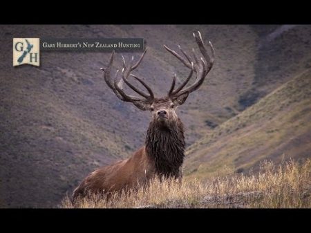 2015 Gary Herbert s New Zealand Hunting Promo