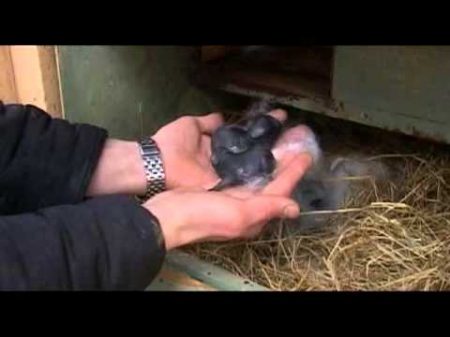 После приговора Часть 2