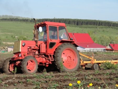 LTZ 60 tractor plowing Трактор ЛТЗ 60АВ вспашка огорода