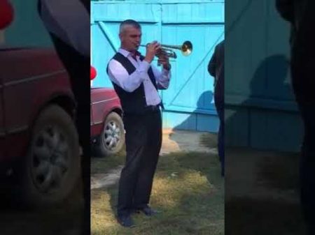 Гурт Бравіс Муровані курилівці