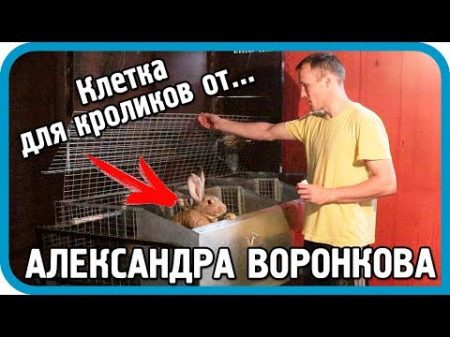 НИКОГДА ТАК НЕ ДЕЛАЙТЕ! Клетка для кроликов от Александра Воронкова