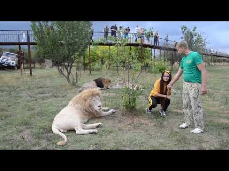 Чип не терпит панибратства!