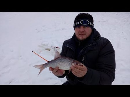 КЛЕВ ОГРОМНОЙ ПЛОТВЫ ! ЧАСТЬ ВТОРАЯ! ЯМАЛ!