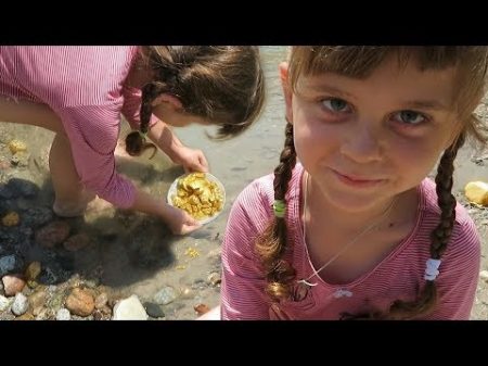 Я В ШОКЕ! ЭТА МАЛЕНЬКАЯ ДЕВОЧКА ПОМОГАЕТ ДОБЫВАТЬ ЗОЛОТО