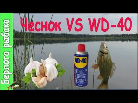 WD40 VS Чеснок на карася что лучше Улучшают клев на рыбалке