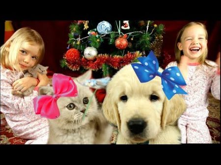ЛУЧШИЙ ПОДАРОК Мечта СБЫЛАСЬ! Подарки от Деда Мороза Собака под ЕЛКОЙ Подарили ЩЕНКА и КОТЕНКА
