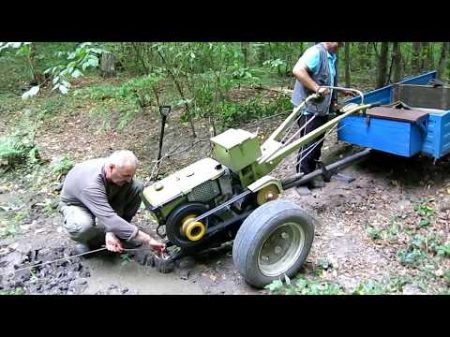 Огромная находка из лесного озера