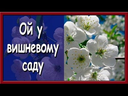 Українська народна пісня Ой у вишневому саду