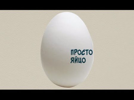 Просто яйцо ЕХперименты с Антоном Войцеховским