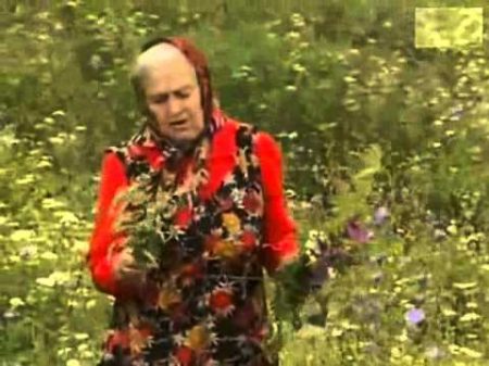 Советы и подсказки Зайцевой Е Ф
