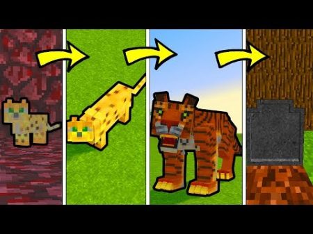 КАК МЕНЯЛСЯ ТИГР МОНСТР И ЕГО ЖИЗНЕННЫЙ ЦИКЛ В МАЙНКРАФТ ЭВОЛЮЦИЯ TROLLING MINECRAFT МУЛЬТИК 3