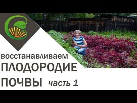 Как я сделала почву плодородной 1 часть