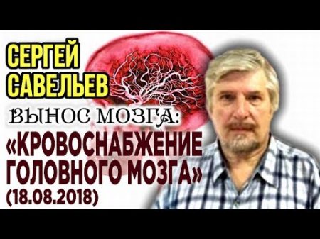 ВЫНОС МОЗГА 52 Кровоснабжение головного мозга 18 08 2018 Савельев С В
