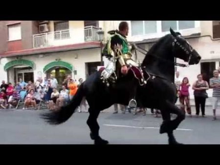Великолепное шоу с испанскими лошадьми на празднике Валенсия Испания