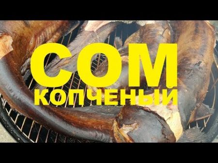 СОМ КОПЧЕНЫЙ НА УГОЛЬНОЙ КОПТИЛЬНЕ WEBER РЕЦЕПТЫ СЮФ