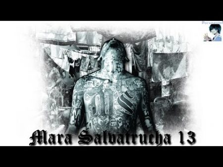 MS 13 Mara Salvatrucha Часть 1 из 2