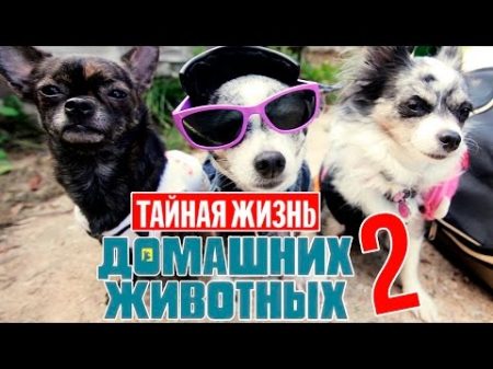 ТАЙНАЯ ЖИЗНЬ ДОМАШНИХ ЖИВОТНЫХ ПО РУССКИ 2 СЕРИЯ