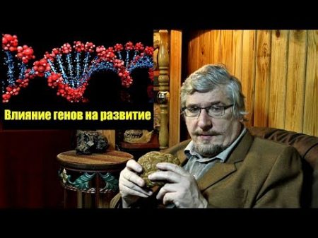 Влияние генов на развитие Сергей Савельев