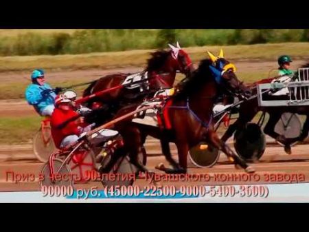 ЦМИ Ипподром ДЕРБИ DERBY Часть 23