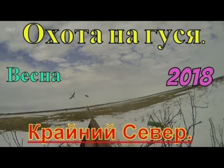 ОХОТА НА ГУСЯ 2018 Весна ч 1