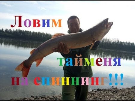 Ловим тайменя и ленков на спиннинг! Заброска туристов в горы! Якутия