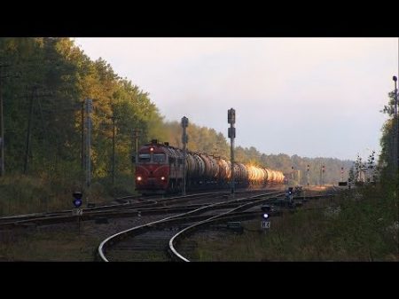 Тепловоз 2М62М 1061 и толкач ТЭМ ТМХ Diesel locomotive 2M62M 1061 and TEM TMH